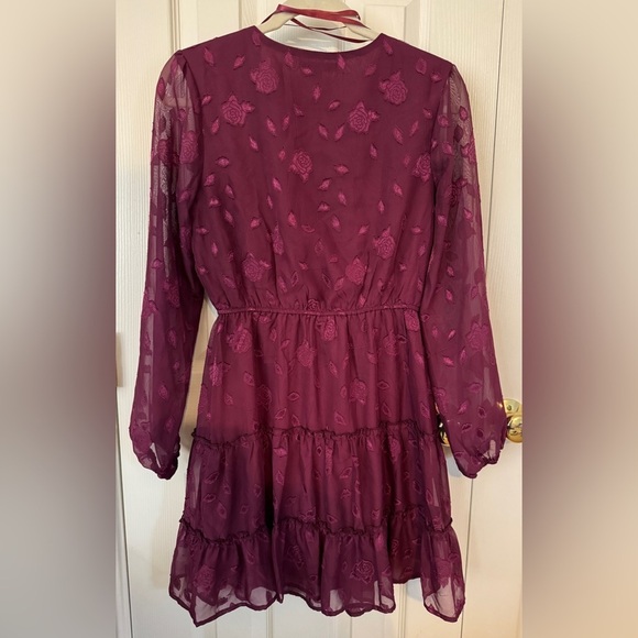 Fall Whimsigoth Lined Mini Dress with Cinched Waist Glitter Rose Mesh Medium - Picture 2 of 14